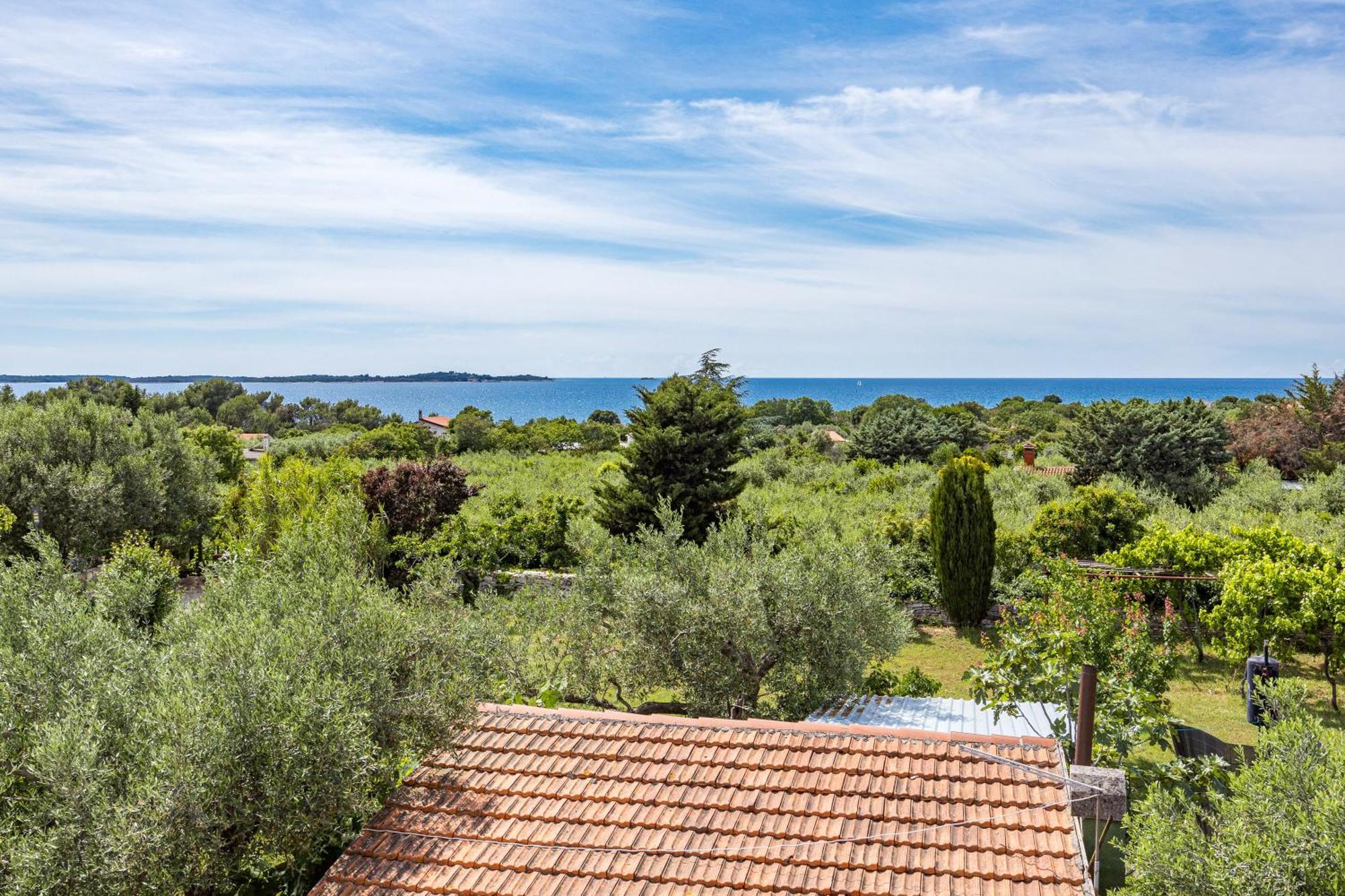 Villa Sunny Olive بيروغ المظهر الخارجي الصورة